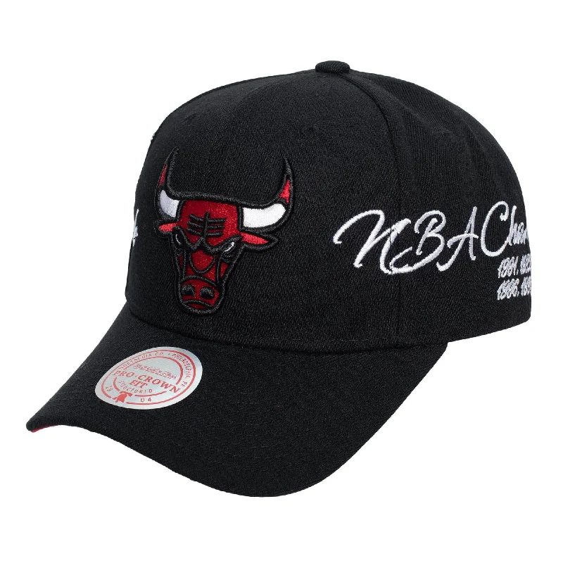 baseball hat me -  Chicago Bulls Champ Wrap Pro Snapback