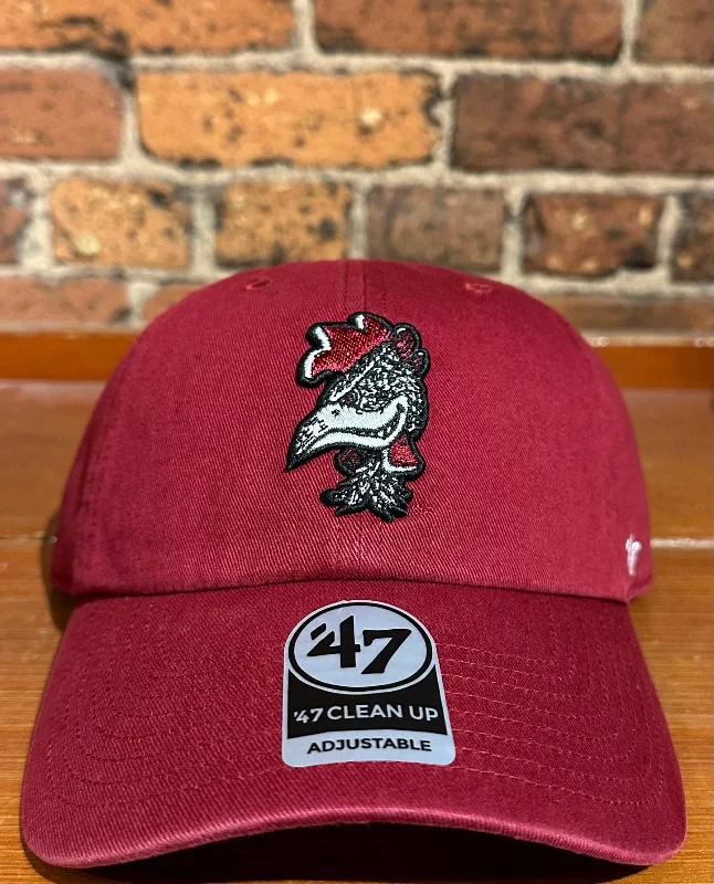 baseball hat rhythm -  South Carolina Gamecocks Clean Up Hat - 47 Brand