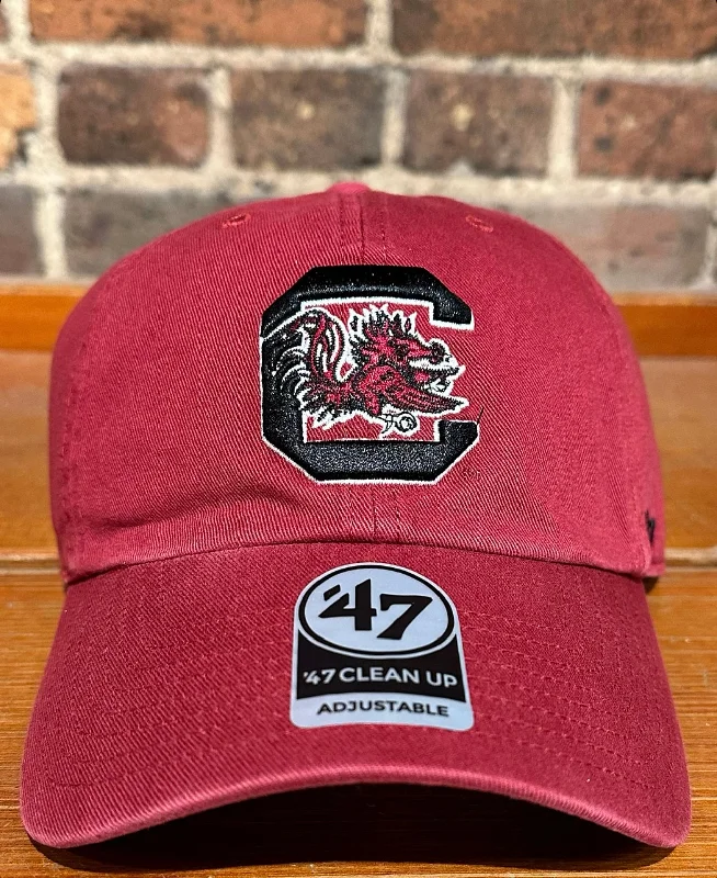 baseball hat someone -  South Carolina Logo Clean up Hat - 47 Brand