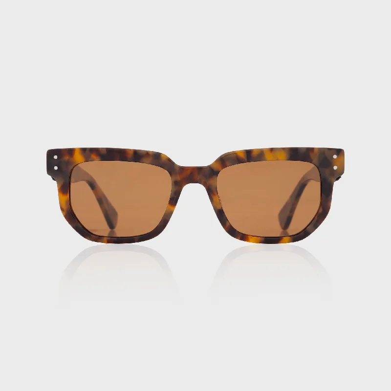 sunglasses with icy cuts -  Glastonbury Tortoise Acetate Sunglasses