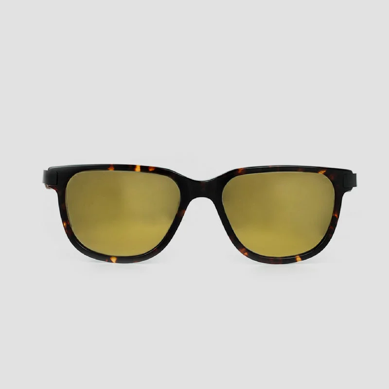 sunglasses with icy thunders -  Specta Tortoise Gold Acetate Sunglasses